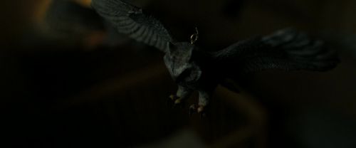 Click to view full size image
==============
RdM2-Potterish_09308.jpg RdM2-Potterish_09308.jpg