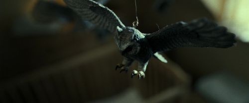 Click to view full size image
==============
RdM2-Potterish_09309.jpg RdM2-Potterish_09309.jpg
