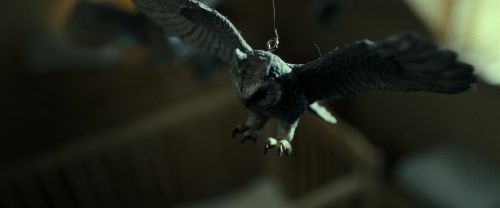 Click to view full size image
==============
RdM2-Potterish_09310.jpg RdM2-Potterish_09310.jpg