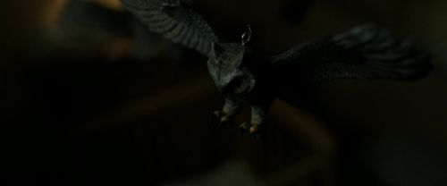 RdM2-Potterish_09311.jpg