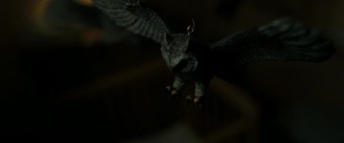 Click to view full size image
==============
RdM2-Potterish_09312.jpg RdM2-Potterish_09312.jpg