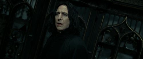 RdM2-Potterish_09352.jpg