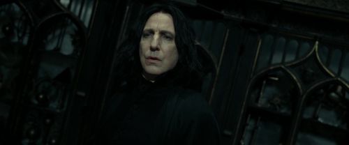 RdM2-Potterish_09355.jpg
