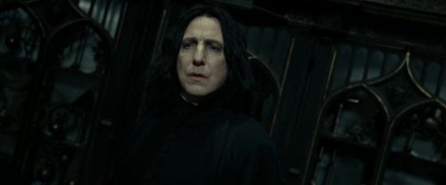 RdM2-Potterish_09356.jpg