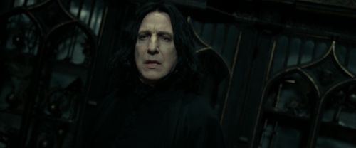 RdM2-Potterish_09358.jpg