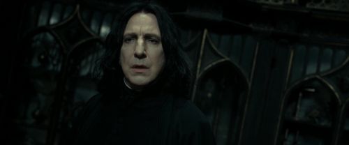 RdM2-Potterish_09361.jpg