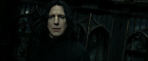 RdM2-Potterish_09364.jpg