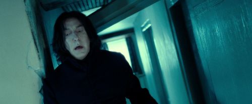 Click to view full size image
==============
RdM2-Potterish_09385.jpg RdM2-Potterish_09385.jpg