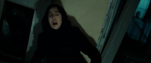 RdM2-Potterish_09393.jpg
