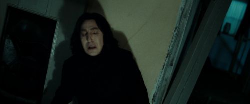 RdM2-Potterish_09394.jpg