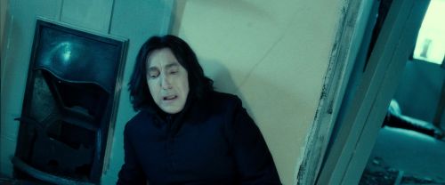 RdM2-Potterish_09397.jpg