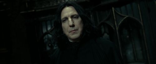 RdM2-Potterish_09420.jpg