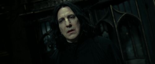RdM2-Potterish_09424.jpg