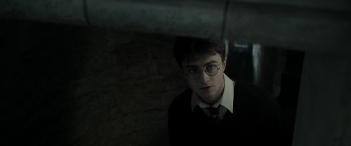 RdM2-Potterish_09438.jpg