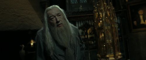 RdM2-Potterish_09444.jpg