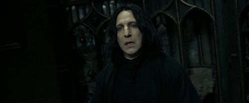 RdM2-Potterish_09453.jpg