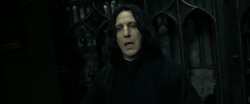 RdM2-Potterish_09454.jpg