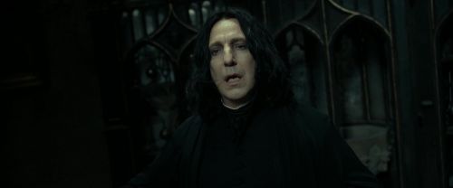 RdM2-Potterish_09455.jpg