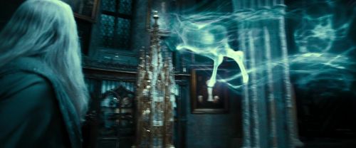 RdM2-Potterish_09469.jpg