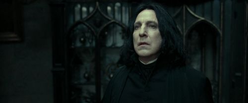 RdM2-Potterish_09472.jpg
