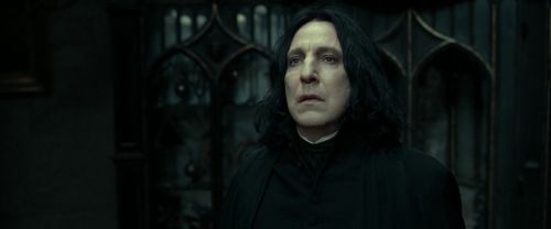 RdM2-Potterish_09474.jpg