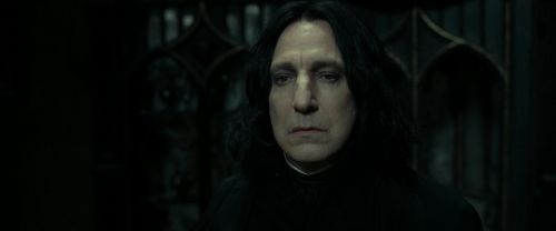 RdM2-Potterish_09499.jpg