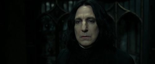 RdM2-Potterish_09501.jpg