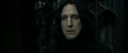 RdM2-Potterish_09505.jpg