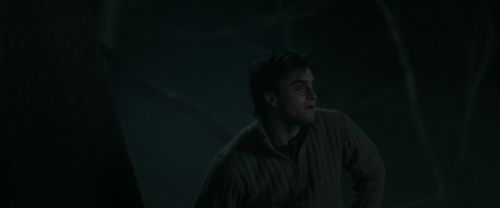 RdM2-Potterish_09509.jpg