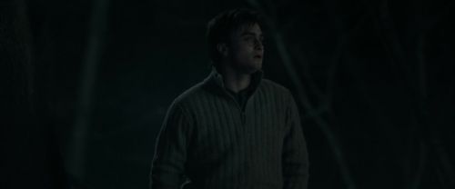 RdM2-Potterish_09514.jpg