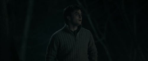 RdM2-Potterish_09515.jpg