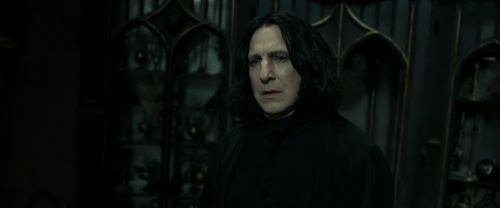 RdM2-Potterish_09544.jpg