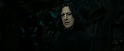 Click to view full size image
==============
RdM2-Potterish_09546.jpg RdM2-Potterish_09546.jpg
