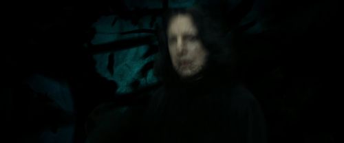 RdM2-Potterish_09547.jpg