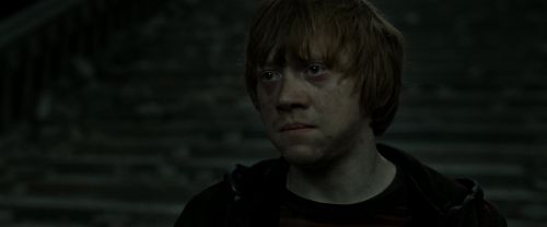 RdM2-Potterish_09781.jpg