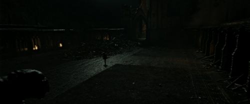 RdM2-Potterish_09846.jpg