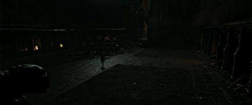 RdM2-Potterish_09849.jpg