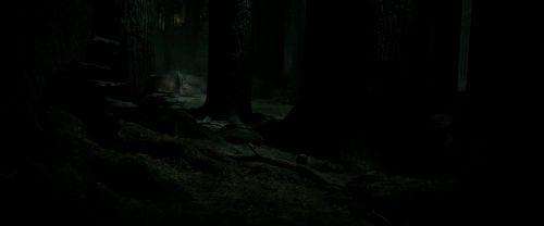 RdM2-Potterish_09851.jpg