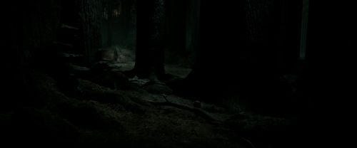 Click to view full size image
==============
RdM2-Potterish_09852.jpg RdM2-Potterish_09852.jpg