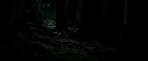 RdM2-Potterish_09853.jpg