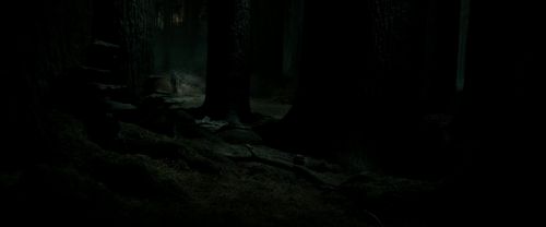 RdM2-Potterish_09854.jpg