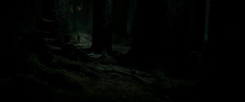 RdM2-Potterish_09855.jpg