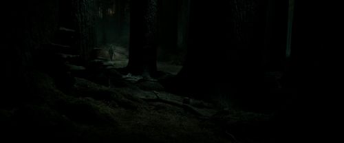 RdM2-Potterish_09856.jpg