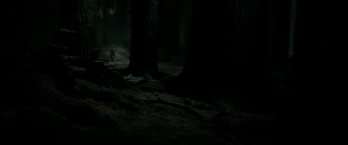 RdM2-Potterish_09857.jpg