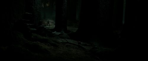 RdM2-Potterish_09858.jpg