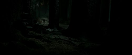 RdM2-Potterish_09861.jpg