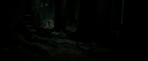 RdM2-Potterish_09862.jpg
