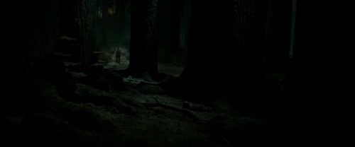 RdM2-Potterish_09863.jpg