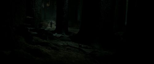 RdM2-Potterish_09864.jpg