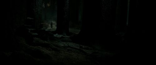 RdM2-Potterish_09865.jpg